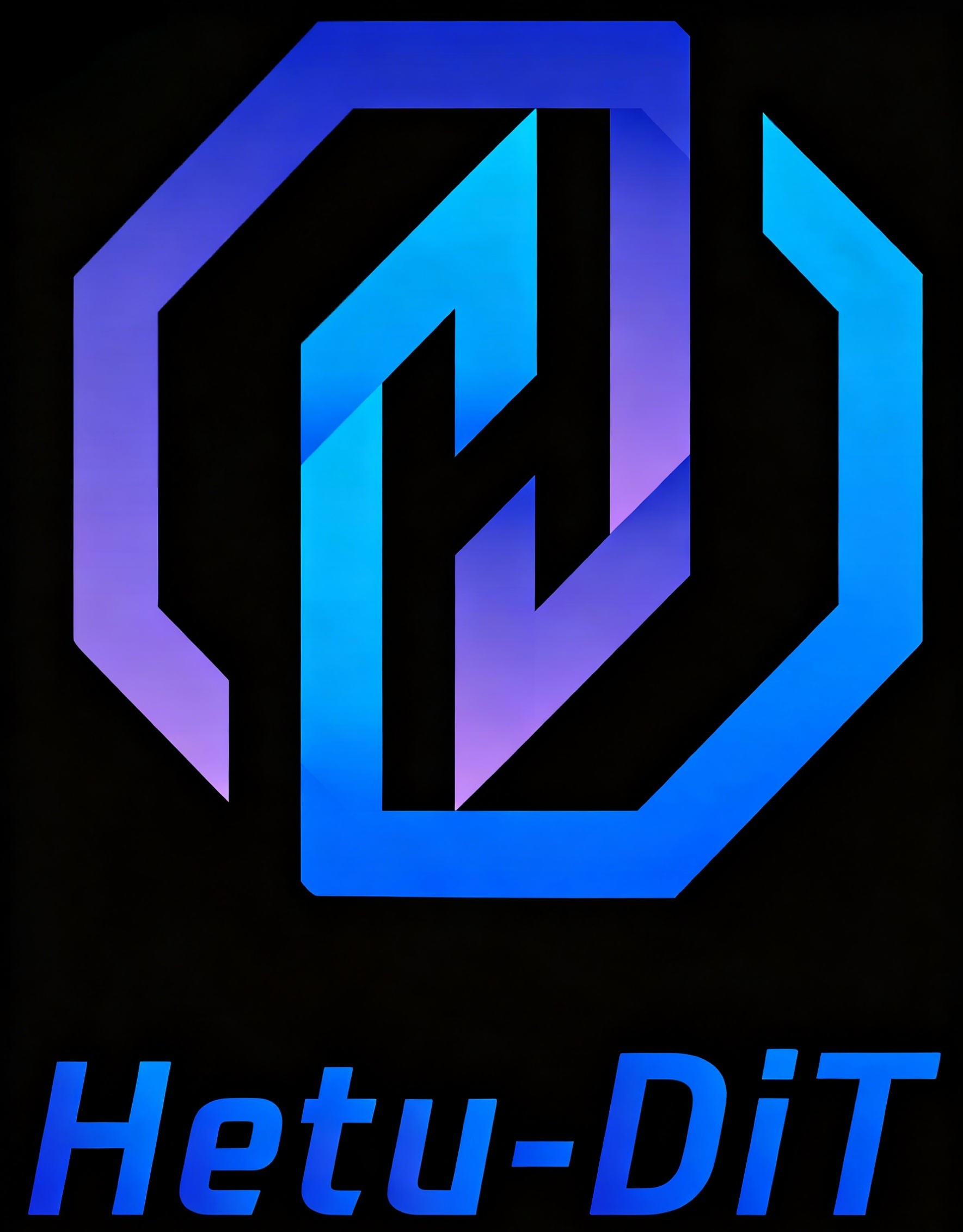 HetuDiT